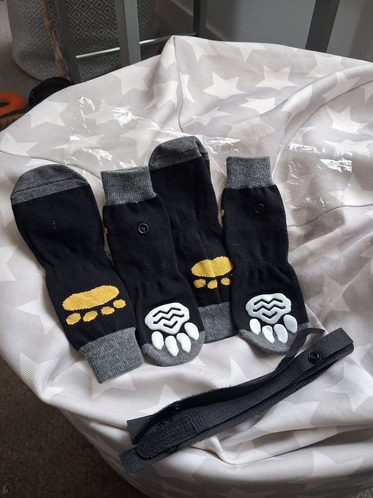 Dog socks unused pack of 4 socks £3