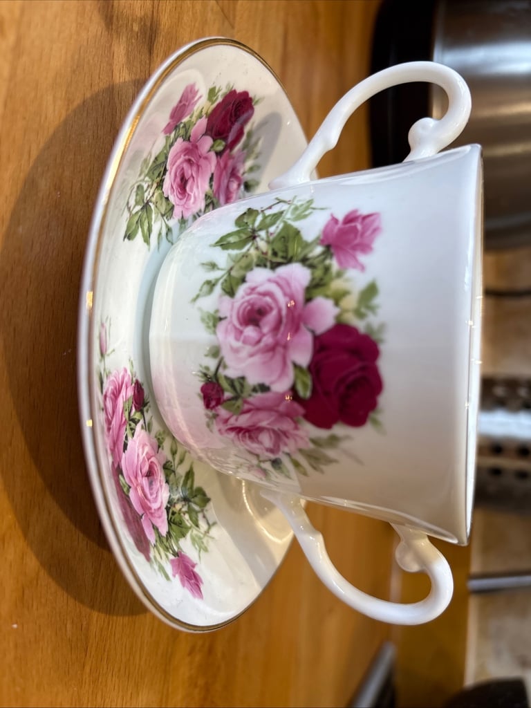 Regency English bone China double handled tea cup