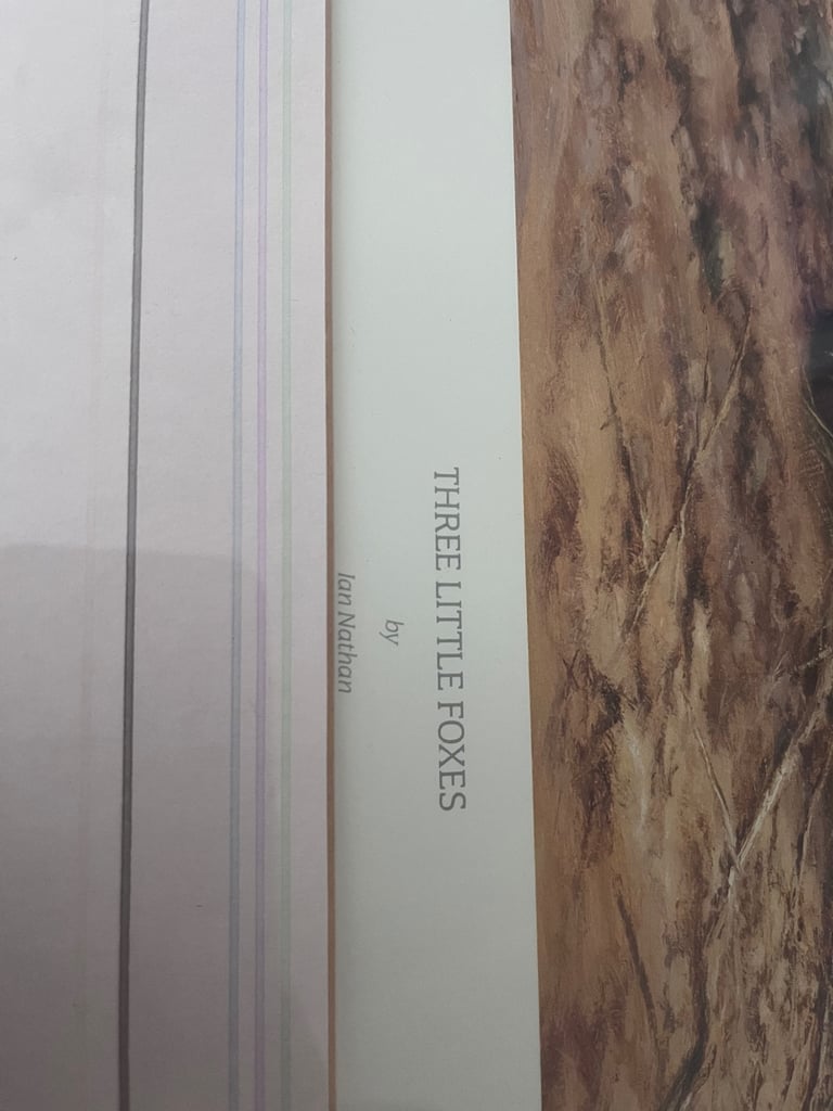 Limited Edition print