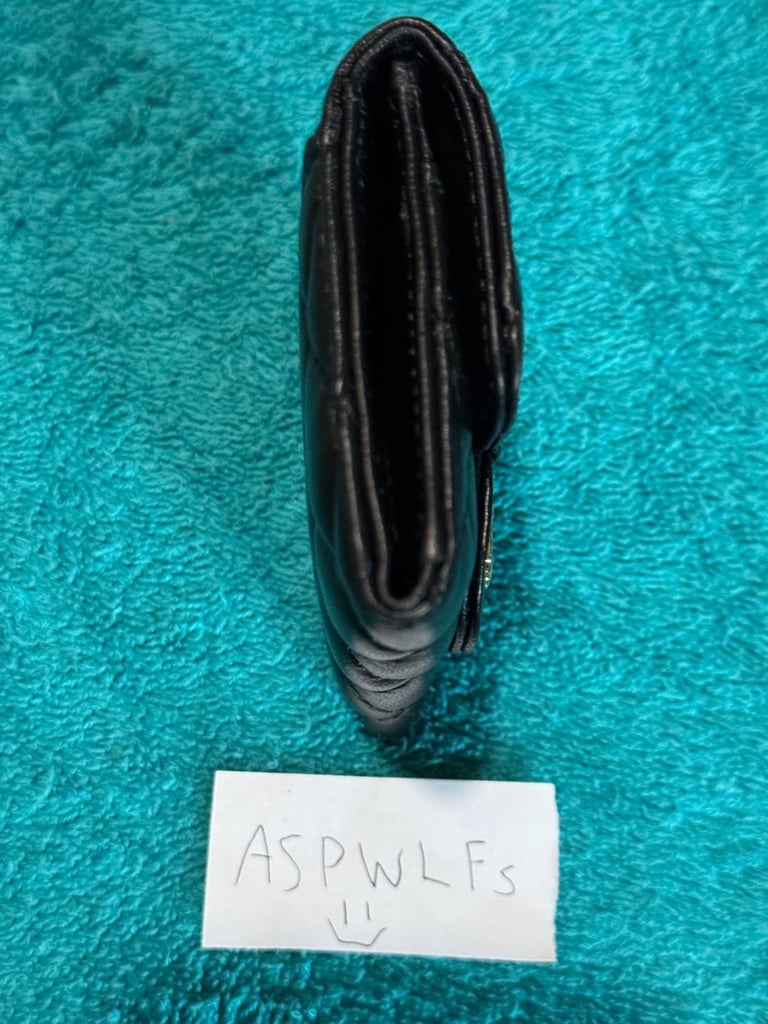 Chanel Bag Purse Wallet Timeless Classique Classic 