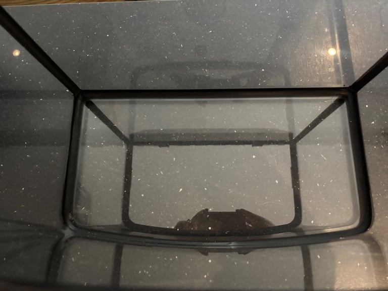 Love Fish 40 L Tank Like New 