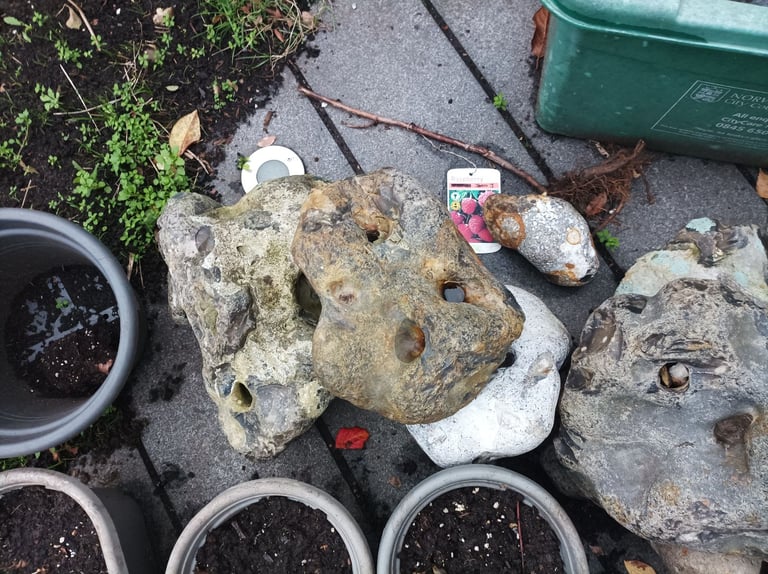 Selection of moderate sized rocks