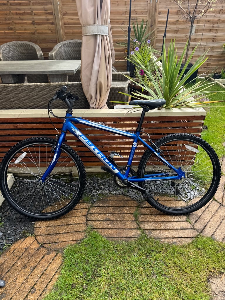 image for Python rock bike 