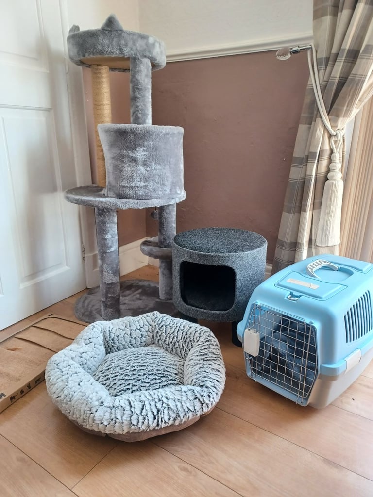 Cat Accessories - Cat tree, beds, carrier, scratching pad