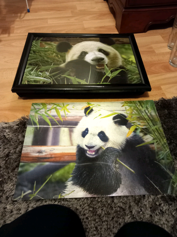 Panda lap tray and panda picture £4 | in Camelon, Falkirk | Gumtree