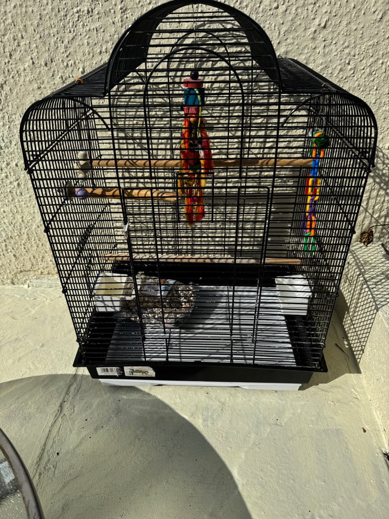 Bird cage