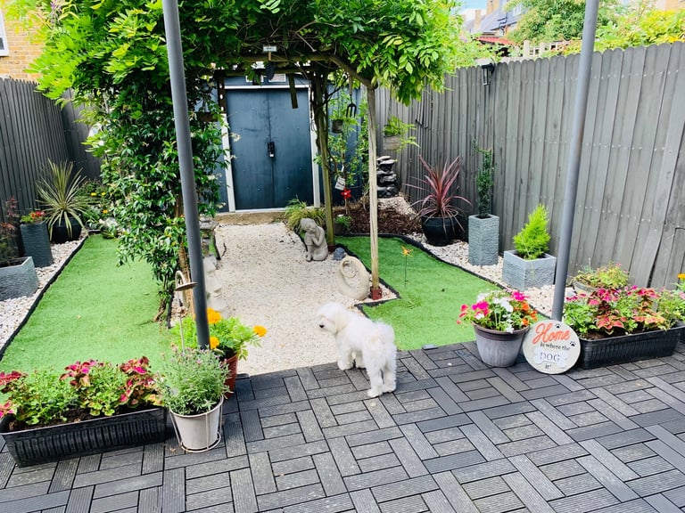 2 Rooms in 2 Bedroom Modern House 