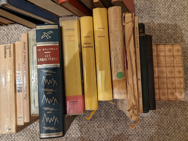French books including dictionaries and grammars