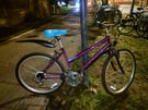 Purple MTB Exodus