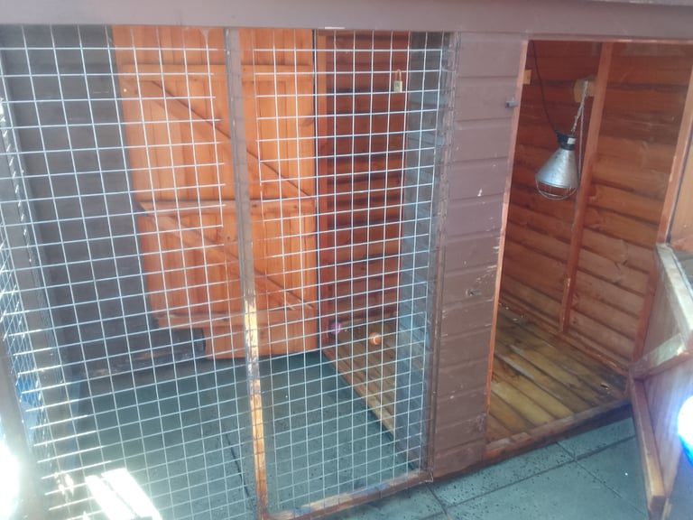 Outdoor dog kennel house