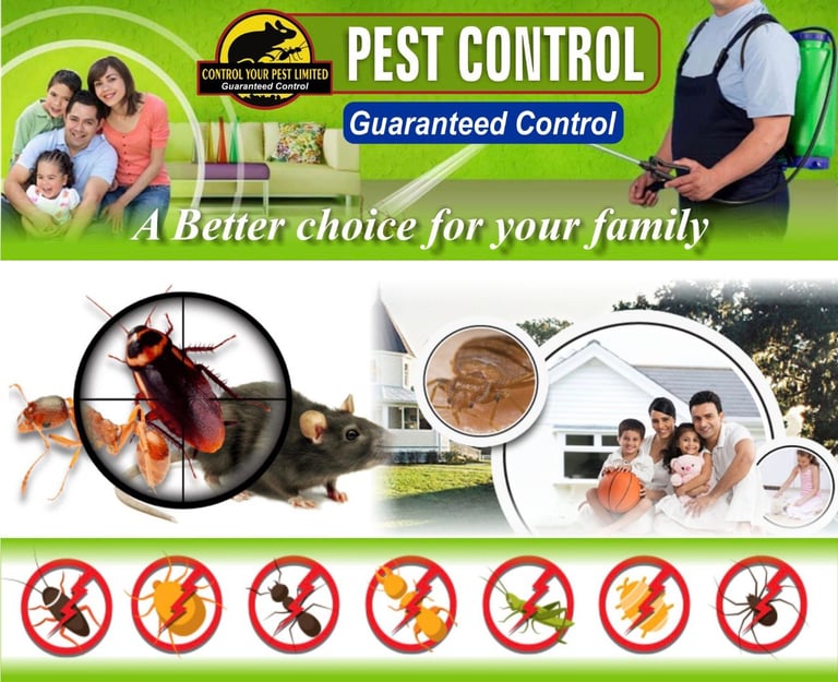 Rat Mice Cockroaches wasps Ants bed bugs 100 Pest control same day