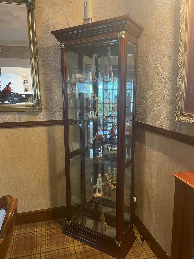 Tall Mahogany Glass unit 