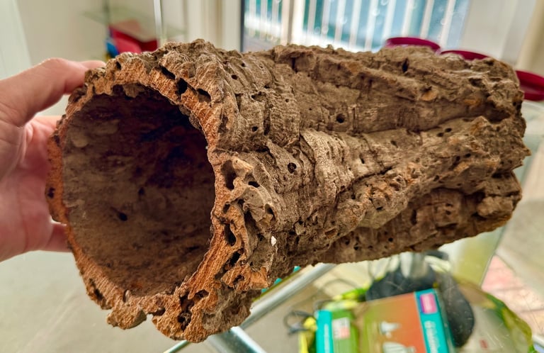 Cork bark tunnel tube. Bearded dragon, snake, lizard, Tarantula, Vivarium hide. 