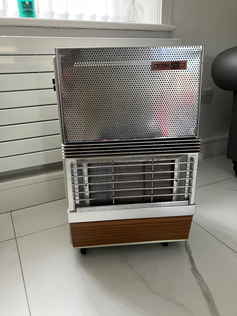 Portable gas fire