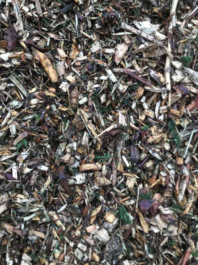 image for Woodchip ( not bark ) decorative mulch 