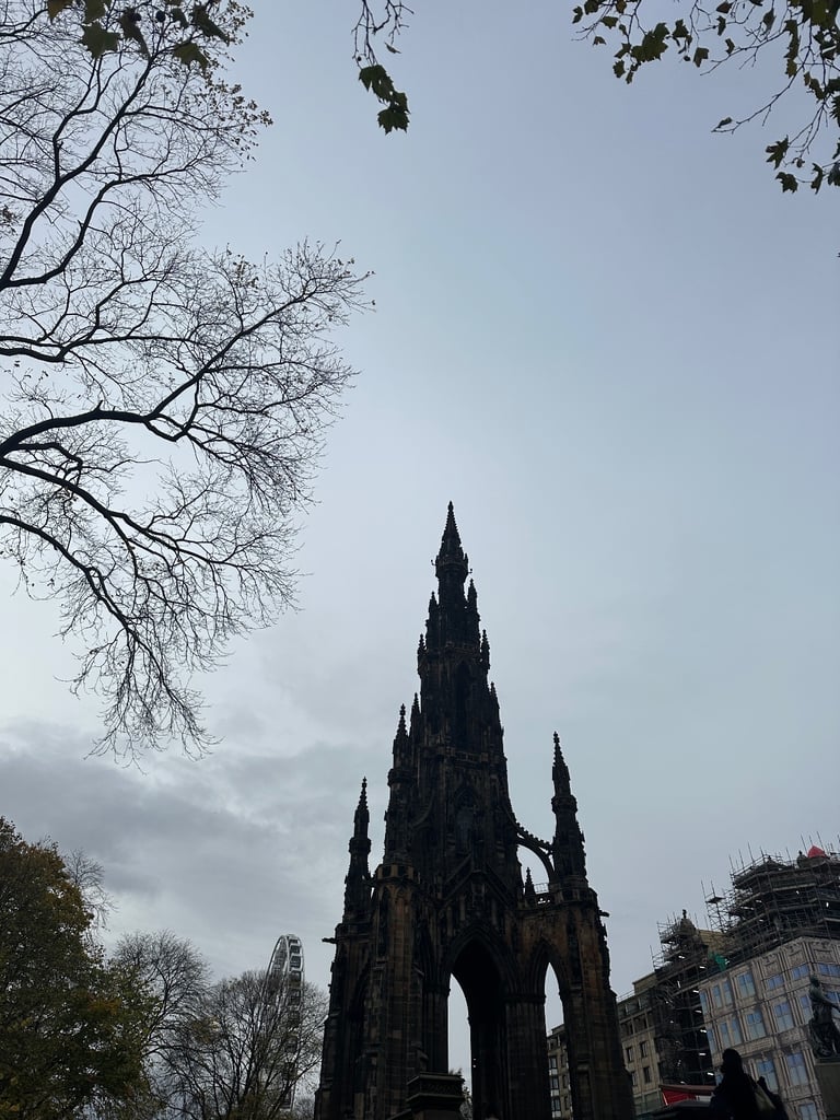 apartment in Edinburgh needed 