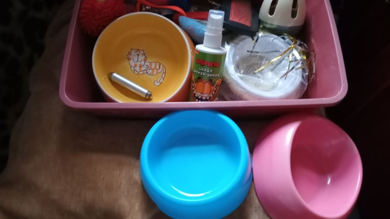 Cat bundle good condition £10