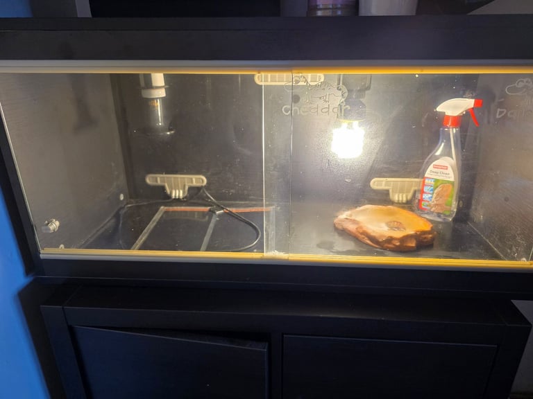 Black vivarium 3ft x 1ft x 1ft glass slidingdoors