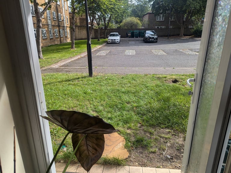 South East London Studio Flat to swap for same or bigger size.