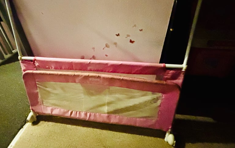Tomy pink bed rail