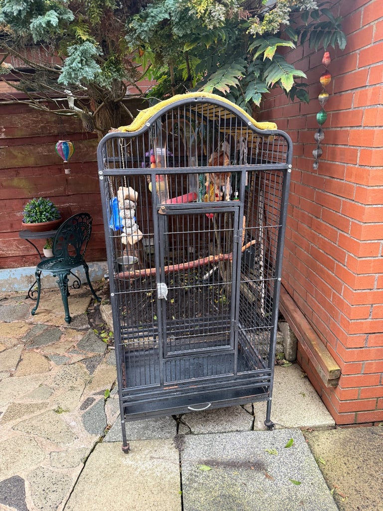 Parrot cage