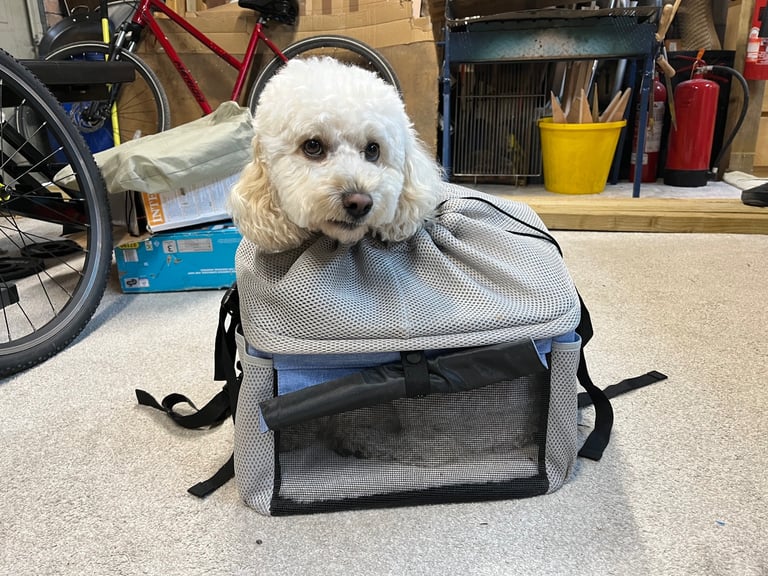 Dog carrier for bike or rucksack. 
