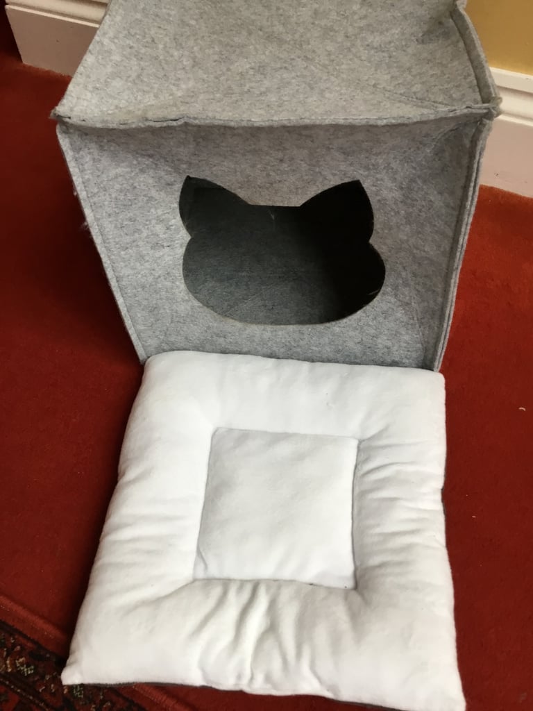 Comfy cat box/cube