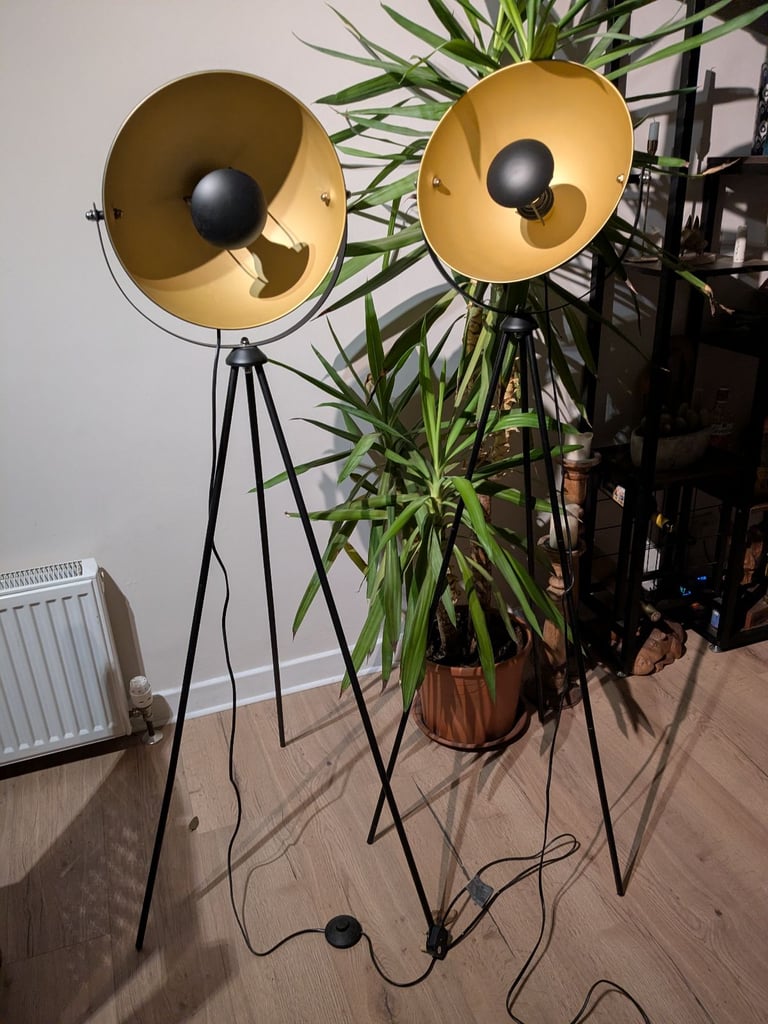 image for 2 floor lamps