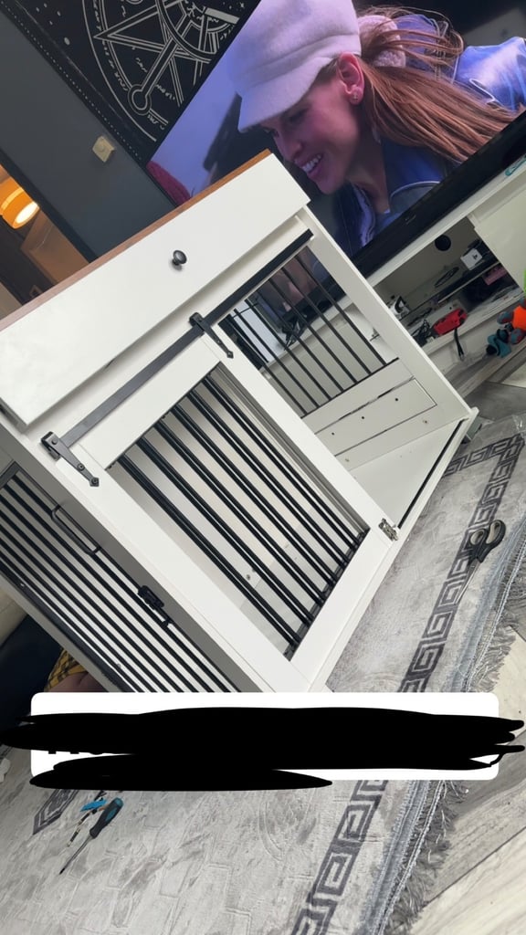 image for Dog create 