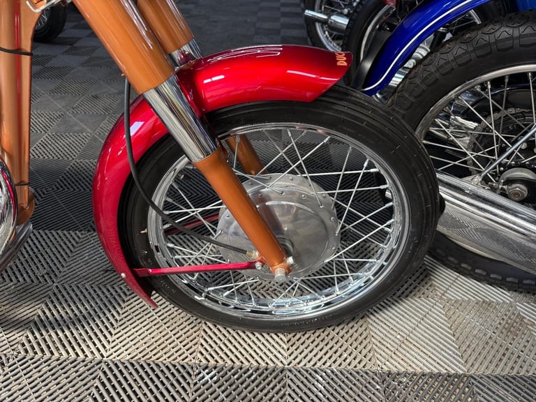 1958 Ducati 175 sport, press tube, outstanding quality, the best we’ve seen 