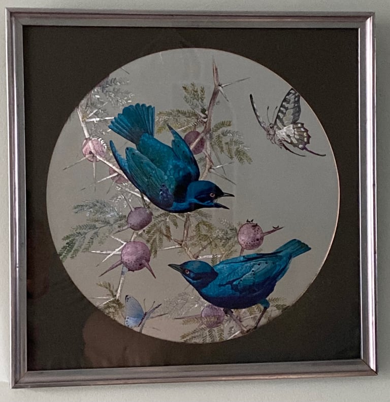 STUNNING BIRD PICTURE IN SILVER FRAME