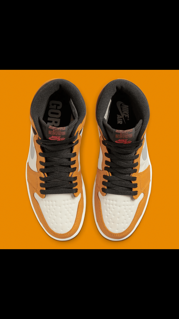 The Air Jordan 1 Element GORE-TEX