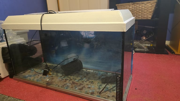 Fish tank (offers)