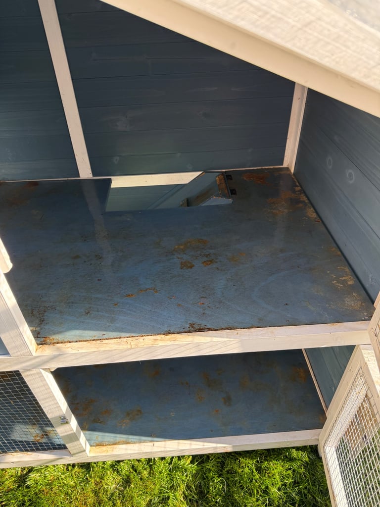 Guinea pig/ rabbit hutch 