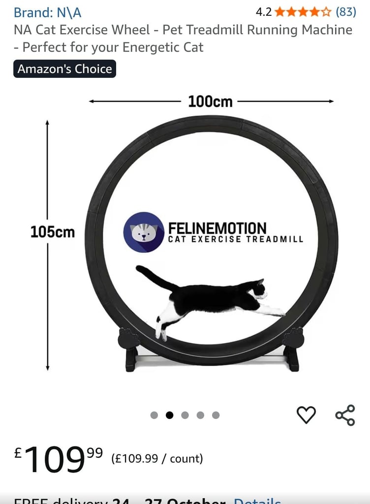 cat running wheel