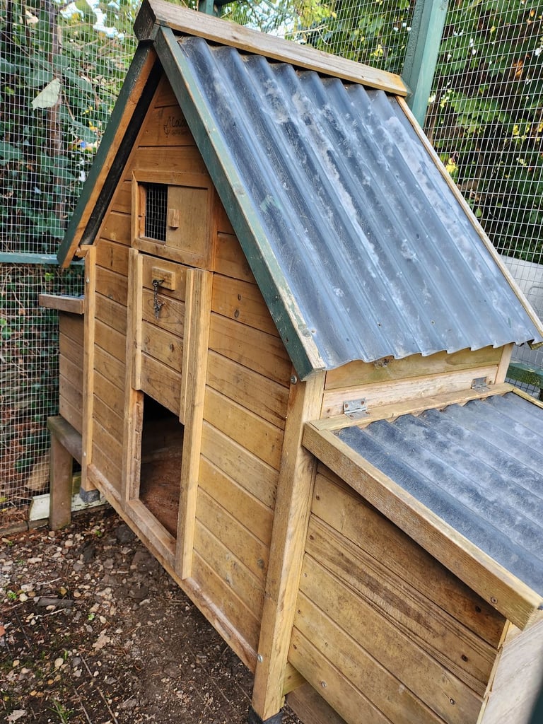 image for Chicken coop