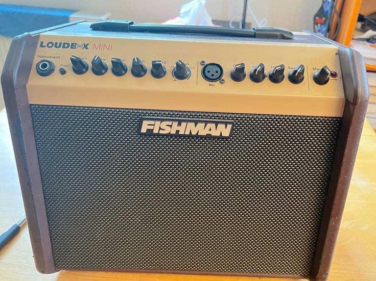 Fishman Loudbox Mini Amp