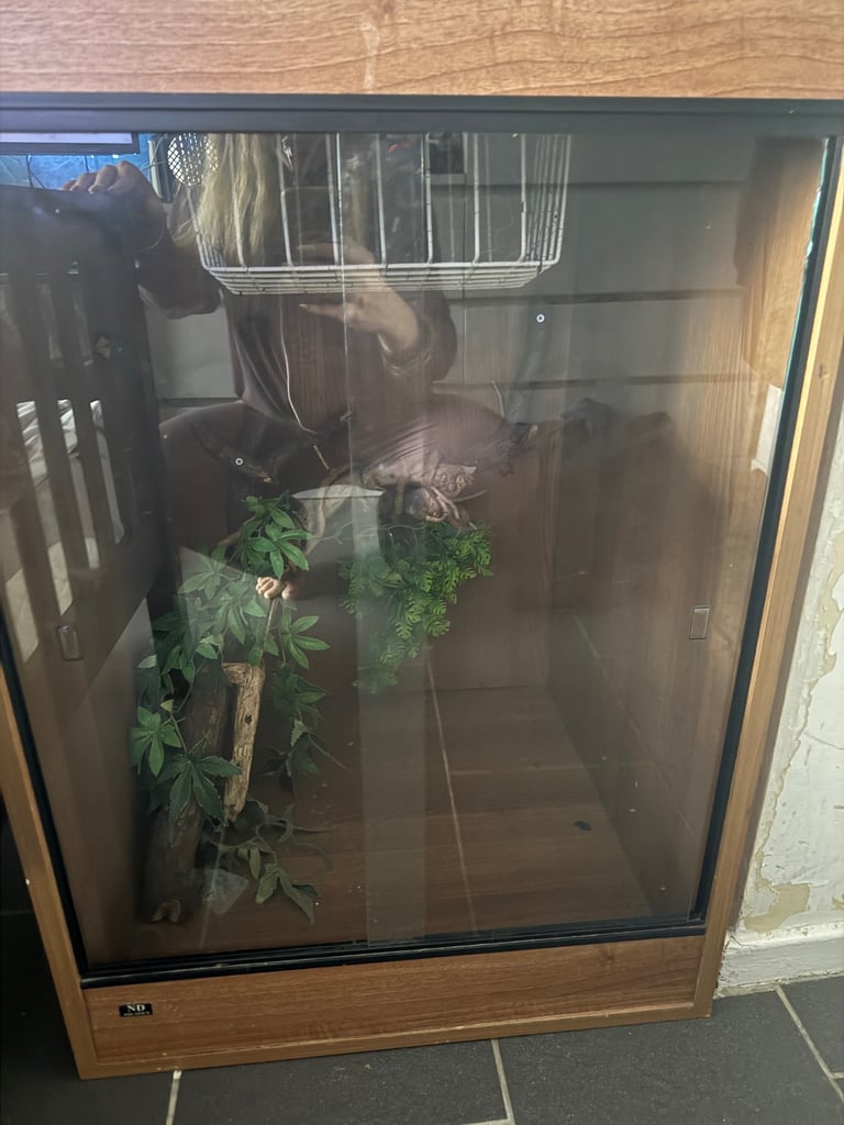 image for 2 reptile vivs