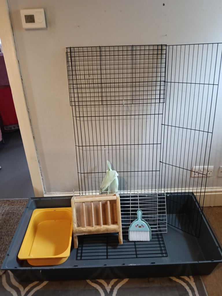 Indoor rabbits hutch bundle 