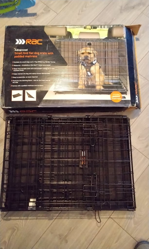 New in box dog create 