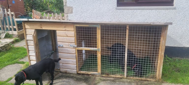 image for Large kennel and run