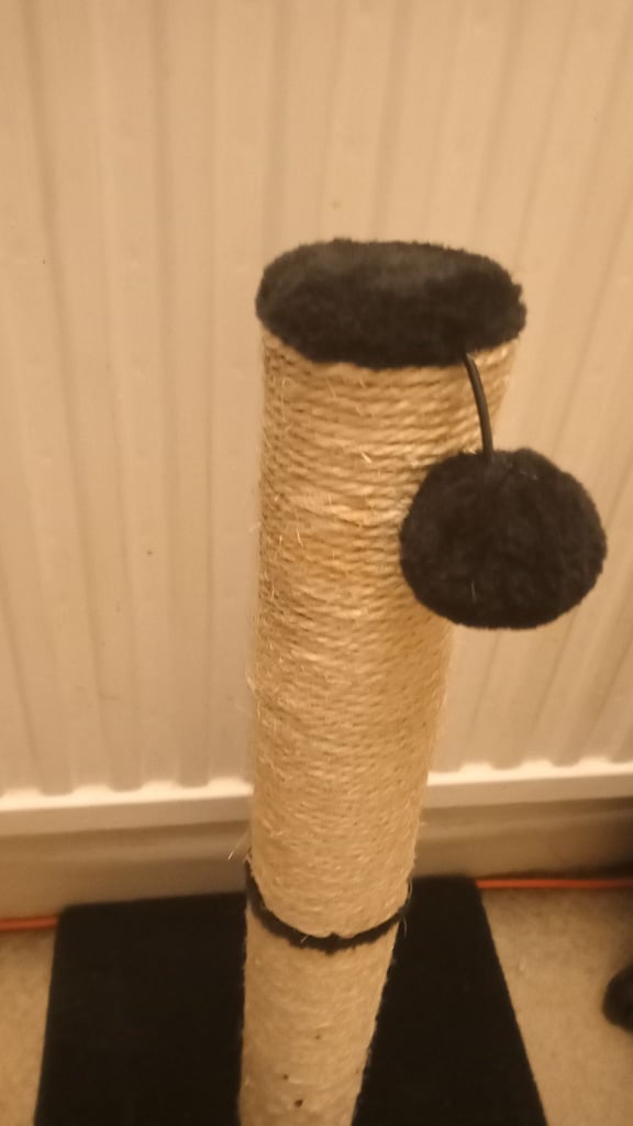 image for Cat straching post new never used £15