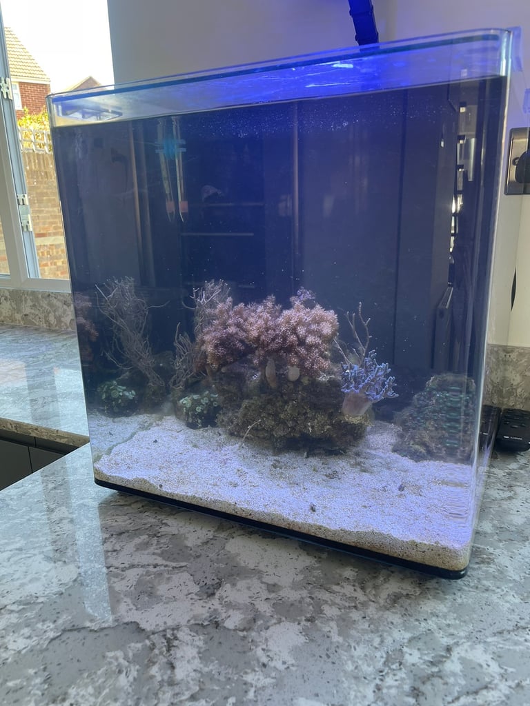 Aquaone nano tank marine with Coral