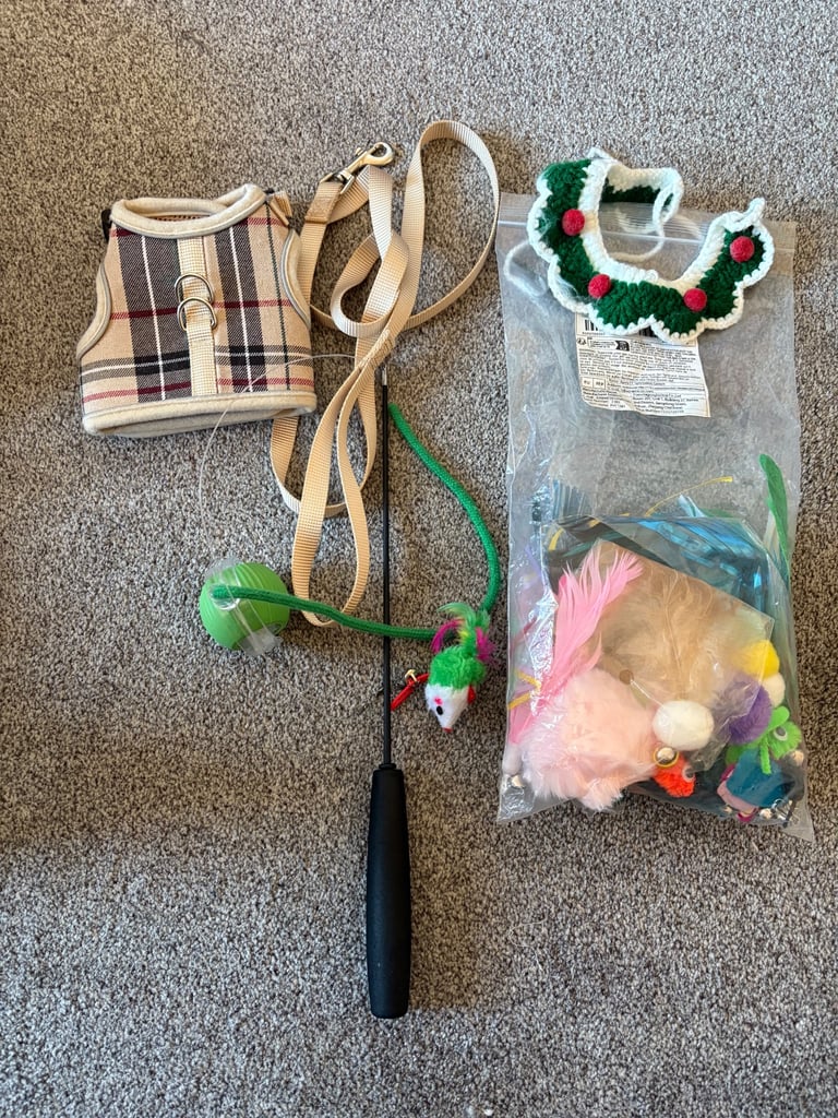 🐾 Cat Accessories for Sale 🐾 (can sell separately or in bulk - see below for details)