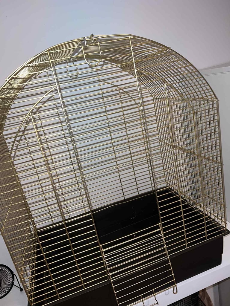 Gold bird cage 
