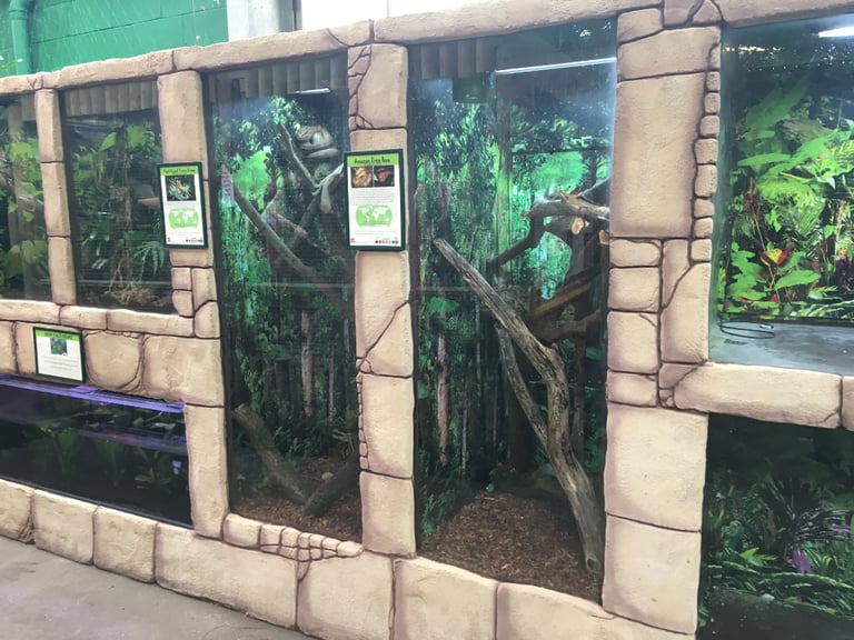 All Glass Fish Tanks Made To Measure, Lowest Prices Possible