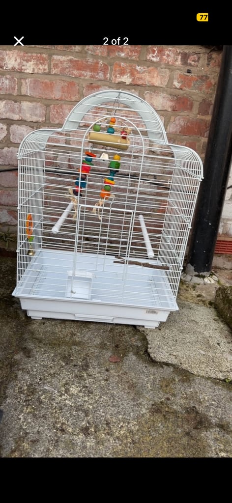 Budgies cage 