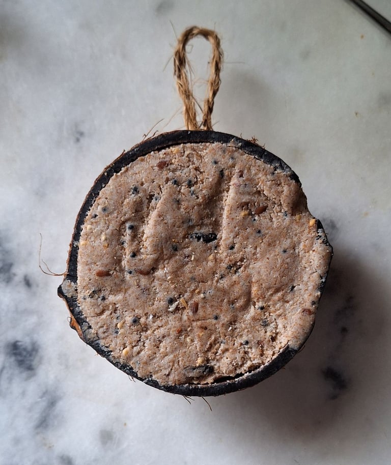 Bird Food in Shell