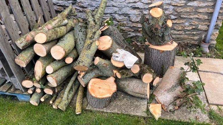 image for Firewood-Approx 2.5 m3, Ash, Maple, Oak