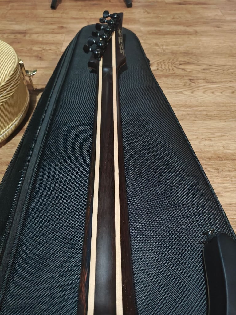 Stunning legator x6 Carribbean 